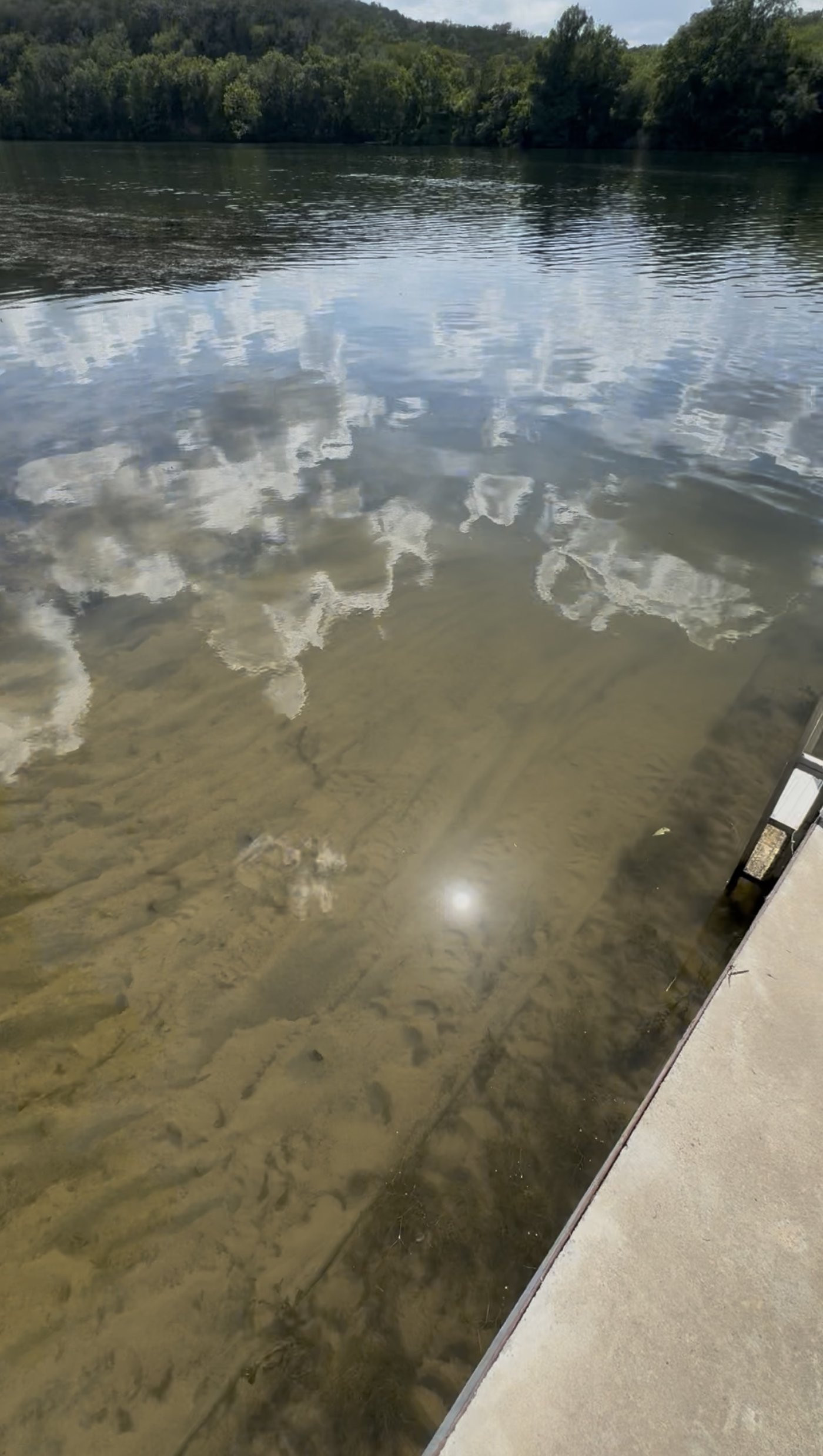 Clear Lake Austin water after hydrilla removal showing clean sandy bottom